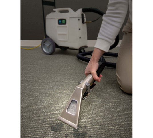 J009/2 - 2 Zing Stays Kleen Encapsulator Carpet Spotter, 2x32oz/case